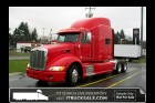 2010 PETERBILT 386  